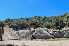 Azienda Agricola Birdesu - Allevamento Maiali